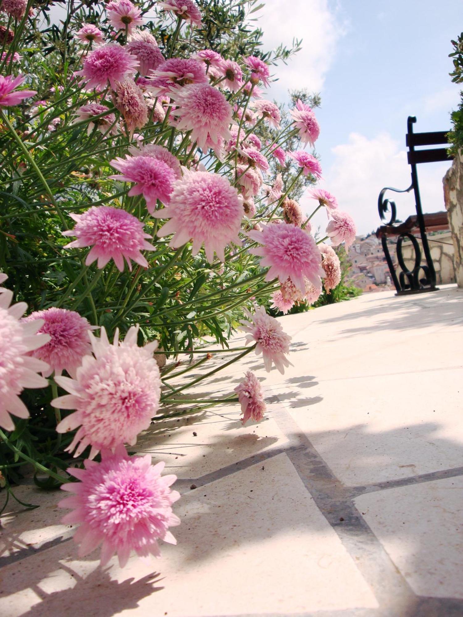 Apartments Olive Tree Χβαρ Εξωτερικό φωτογραφία